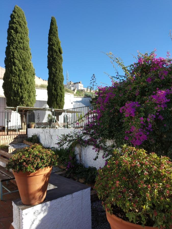 Cielo Del Albayzin Lejlighed Granada Eksteriør billede